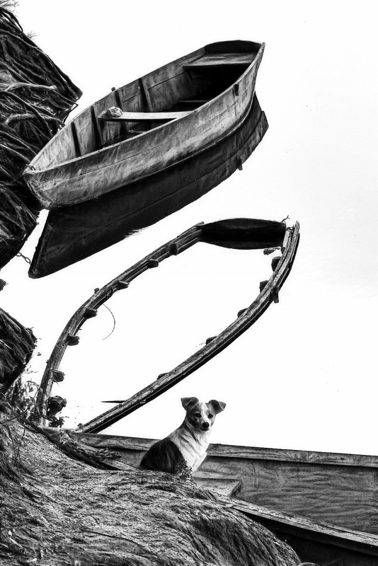 Фотографія Коли човен із душами досягав протилежного берега Стіксу, їх зустрічав пекельний пес — Цербер. / Зоя та Олександр / photographers.ua