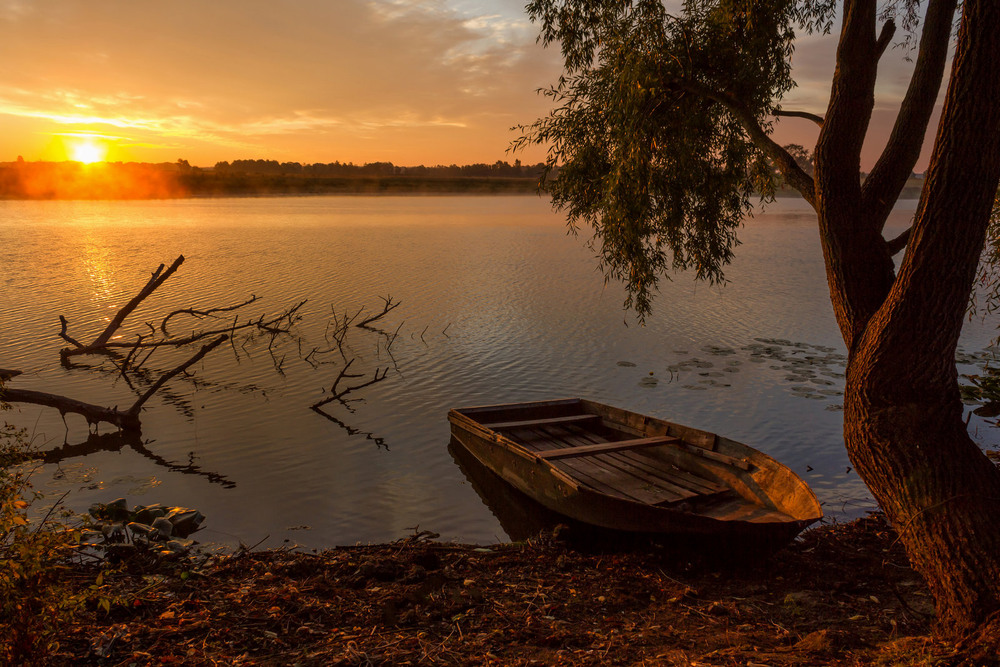Фотографія Світанок на озері / Зоя та Олександр / photographers.ua