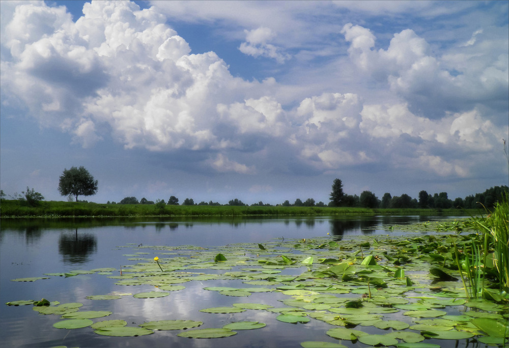Фотографія Вода,в том дивном озере-прохладна и чиста / Зоя та Олександр / photographers.ua