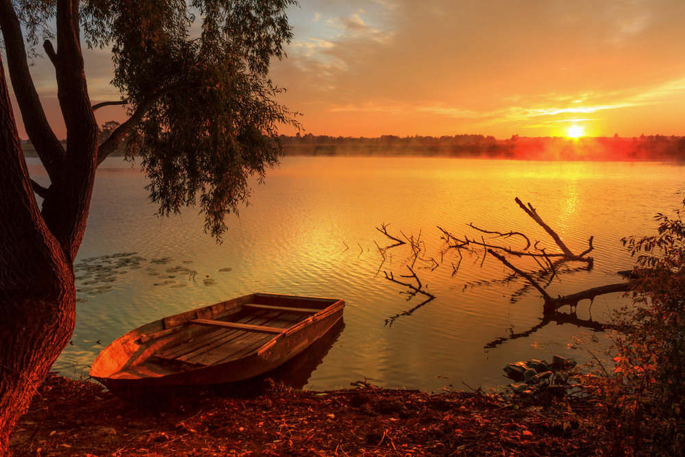 Фотографія Рано вранці на озері / Зоя та Олександр / photographers.ua