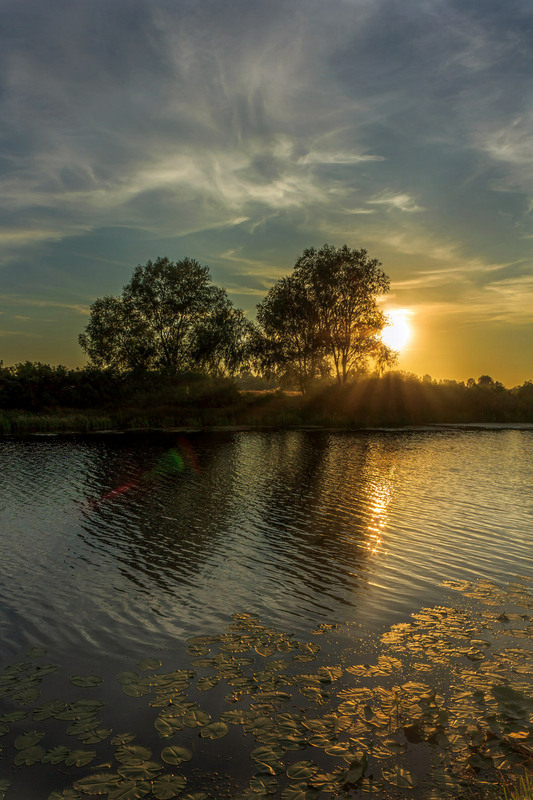 Фотографія Золотий захід сонця на озері / Зоя та Олександр / photographers.ua