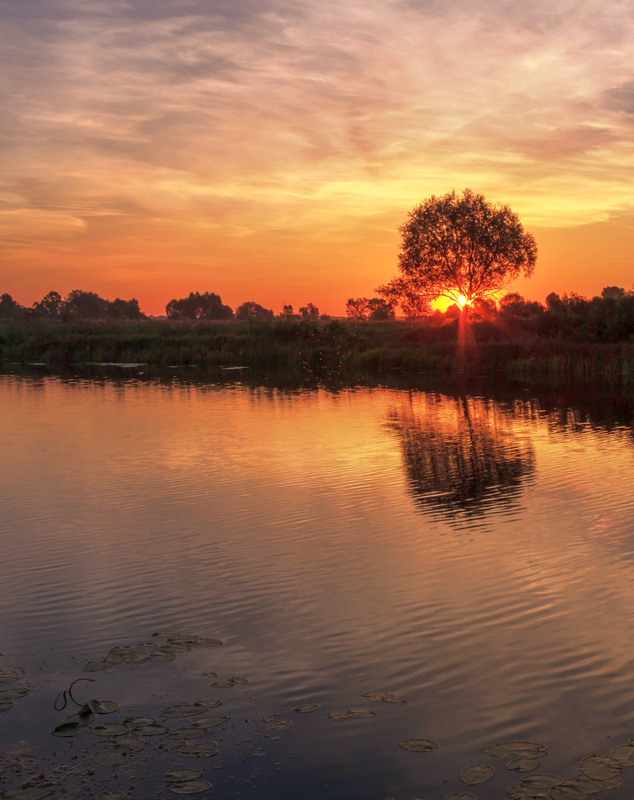 Фотографія Солонецьке озеро в променях заходу сонця / Зоя та Олександр / photographers.ua
