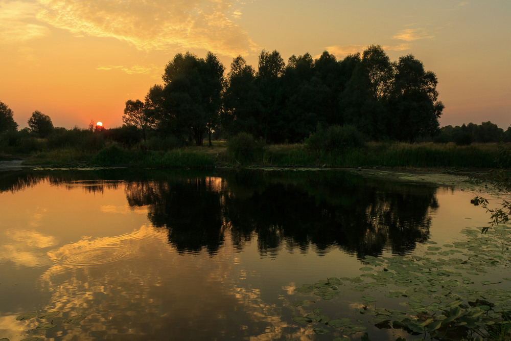 Фотографія Природа рисует закат / Зоя та Олександр / photographers.ua