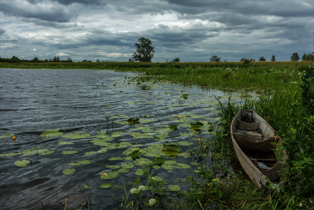 Фотографія Уже слышны  раскаты грома / Зоя та Олександр / photographers.ua