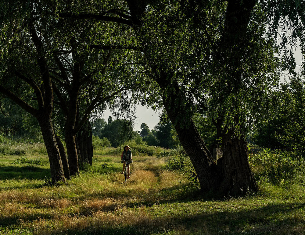 Фотографія Когда деревья были большими / Зоя та Олександр / photographers.ua
