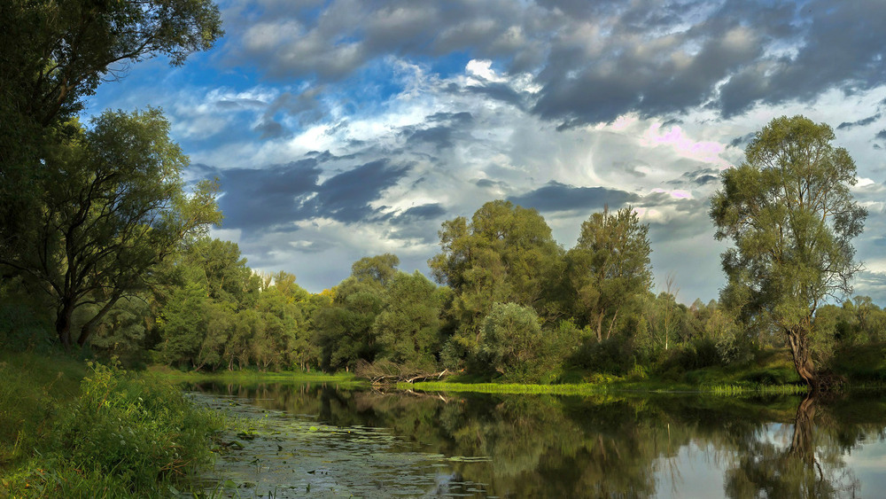 Фотографія На річці Остер / Зоя та Олександр / photographers.ua