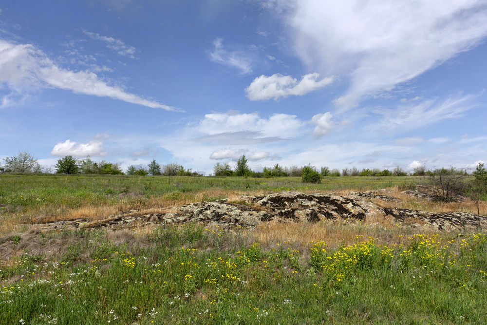 Фотографія Кам'яні дива Українського степу. / Зоя та Олександр / photographers.ua