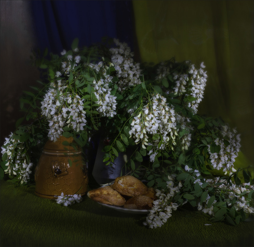 Фотографія Запах акации с детства любимый / Зоя та Олександр / photographers.ua