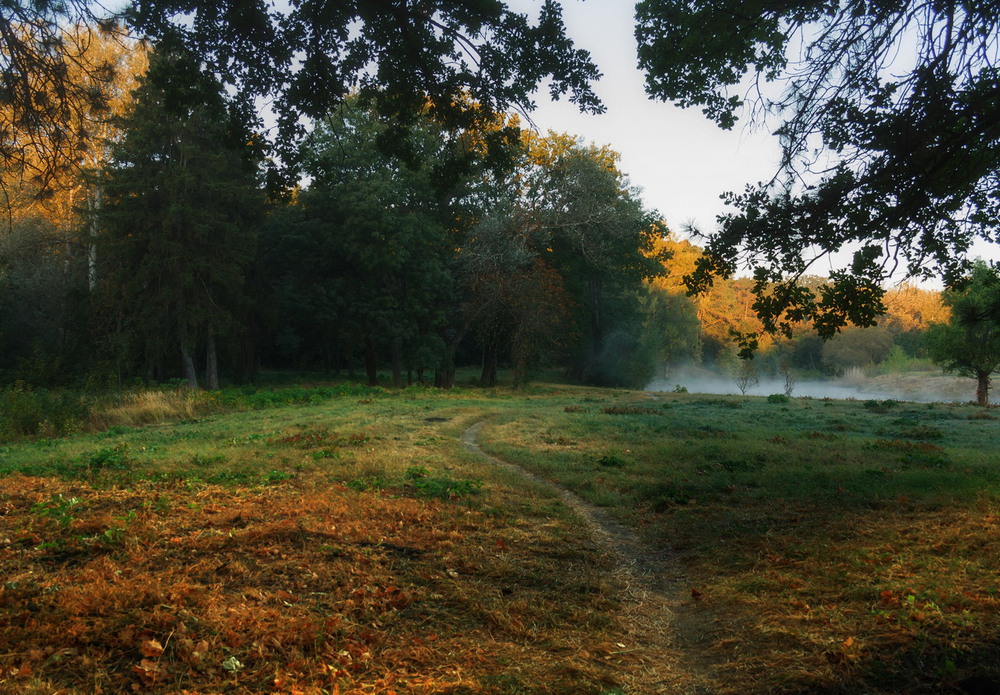 Фотографія Прекрасна осень на рассвете / Зоя та Олександр / photographers.ua