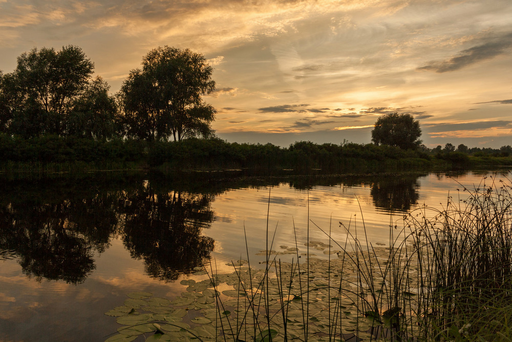 Фотографія Тихий вечір на озері / Зоя та Олександр / photographers.ua