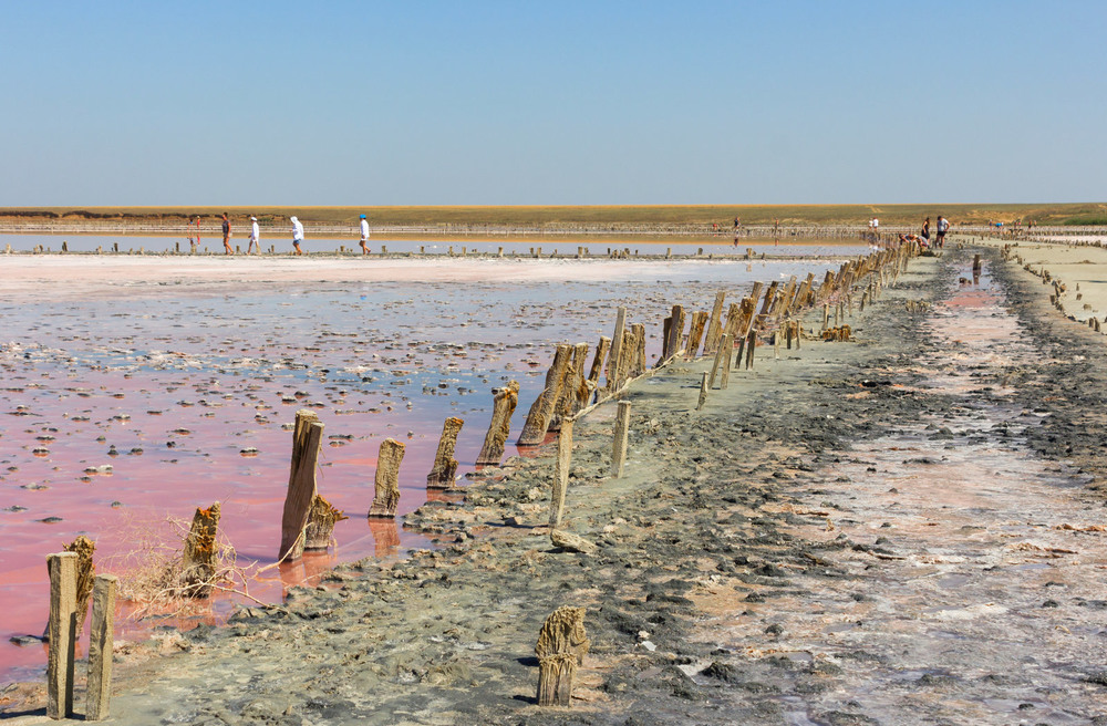 Фотографія Генічне солоне "Рожеве озеро". Сиваш. Арабатська стрілка / Зоя та Олександр / photographers.ua