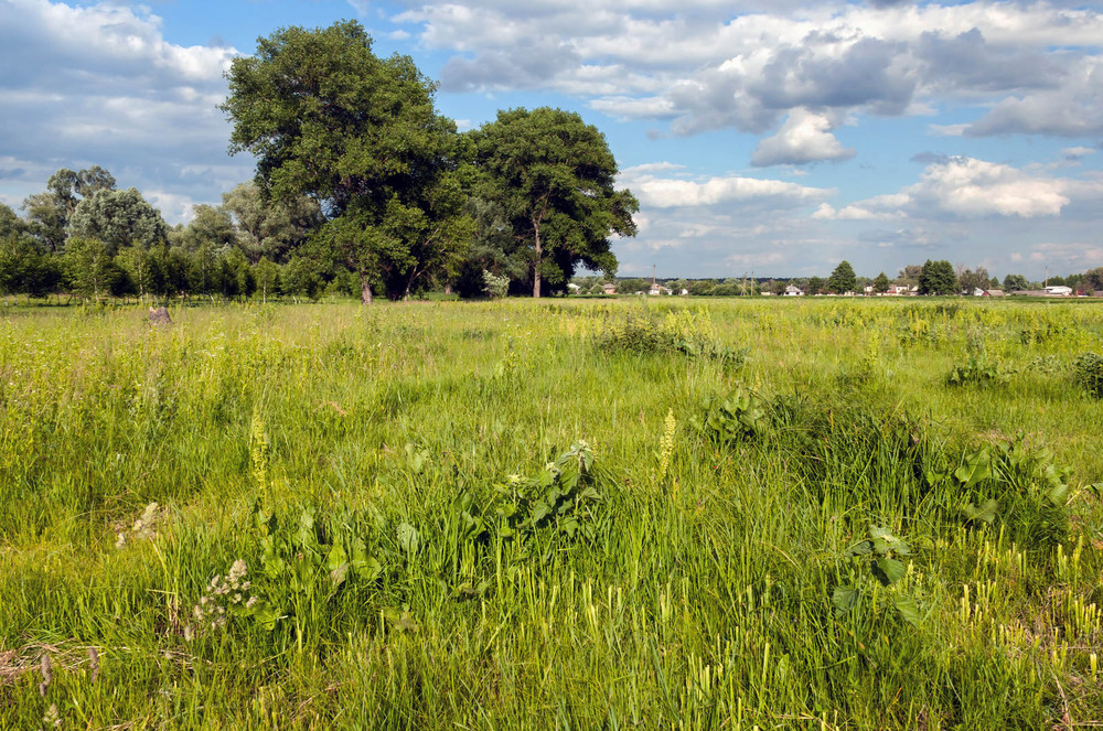 Фотографія На рідних просторах. / Зоя та Олександр / photographers.ua