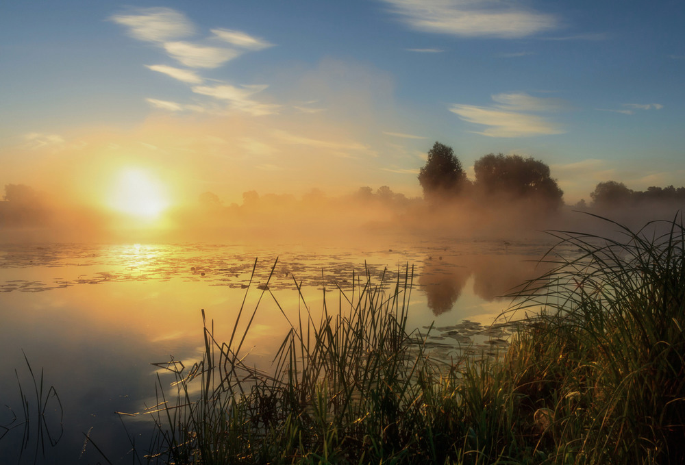 Алый свет разливается. Утро на озере. Раннее утро на озере. Ранний рассвет. Туманное утро на озере.