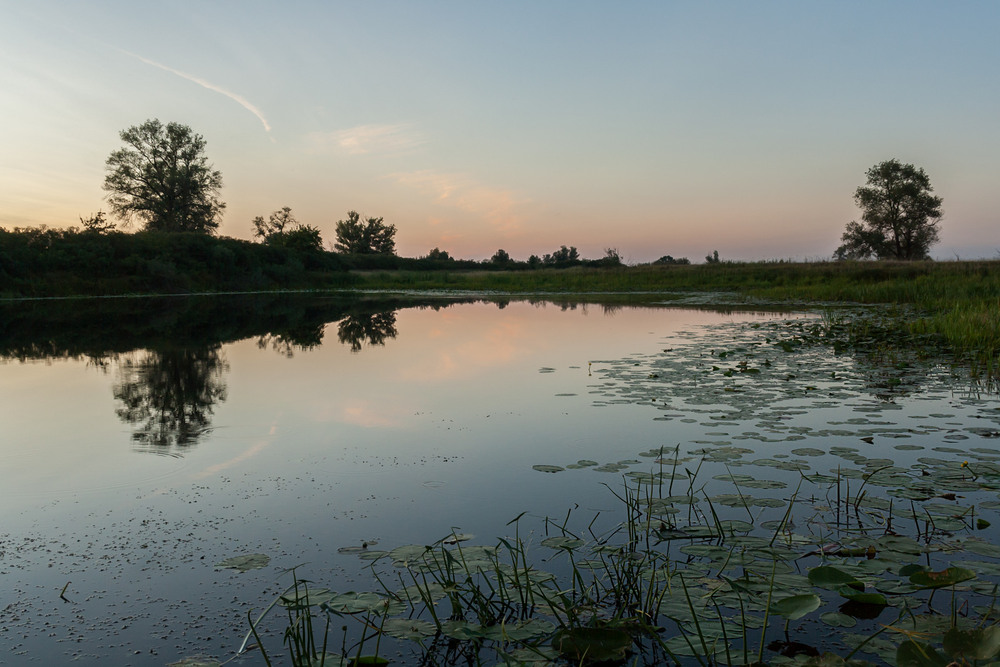 Фотографія Вечір на озері / Зоя та Олександр / photographers.ua