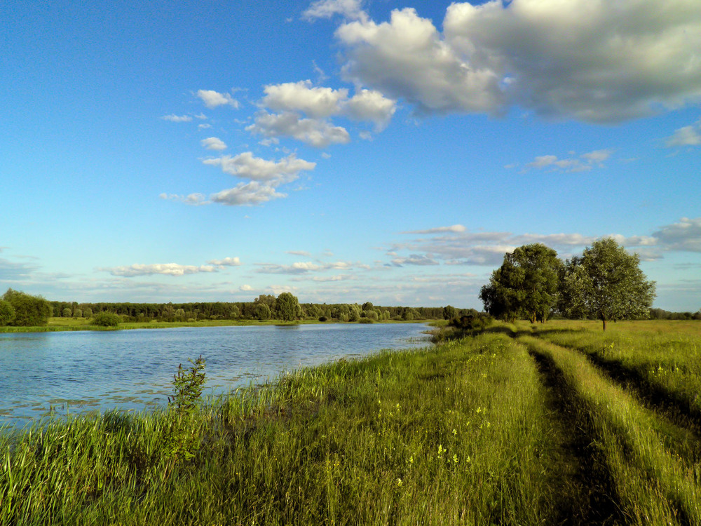 Фотографія Рідні простори / Зоя та Олександр / photographers.ua