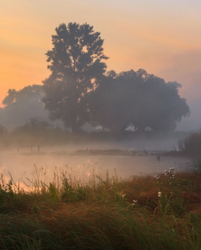 Фотографія Рано-вранці на озері / Зоя та Олександр / photographers.ua