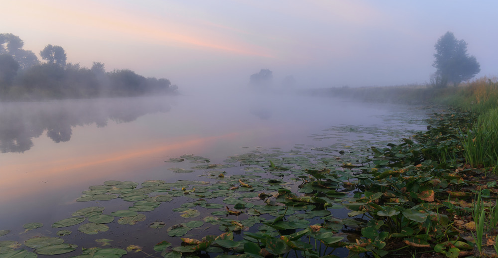 Фотографія Озеро в тумане / Зоя та Олександр / photographers.ua