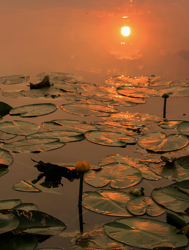 Фотографія Закат над озером склонился, в воде зеркальной  отразился / Зоя та Олександр / photographers.ua