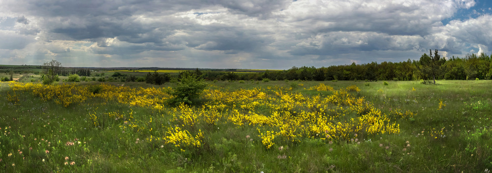 Фотографія Месяц Май / Зоя та Олександр / photographers.ua