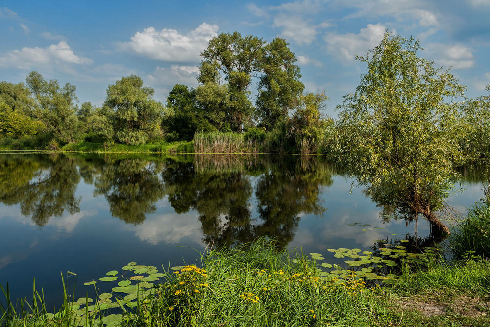 Фотографія На озері / Зоя та Олександр / photographers.ua