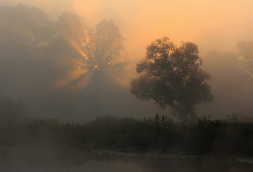 Фотографія Остерські тумани / Зоя та Олександр / photographers.ua