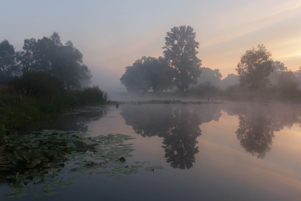 Фотографія Туманний ранок на озері / Зоя та Олександр / photographers.ua