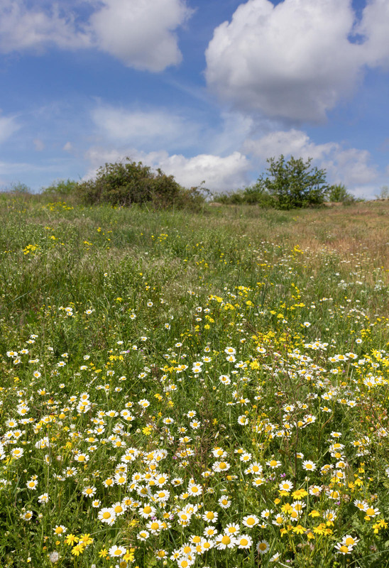 Фотографія Пейзаж / Зоя та Олександр / photographers.ua