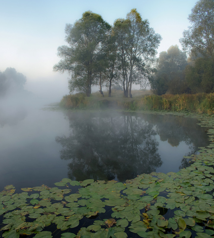 Фотографія Ранним утром на озере / Зоя та Олександр / photographers.ua