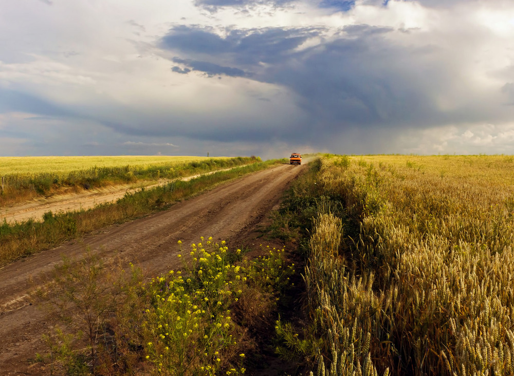 Фотографія Їдемо, їдемо, у сусіднє село на дискотеку... / Зоя та Олександр / photographers.ua