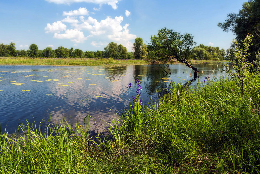 Фотографія Фінал весни 2012 р / Зоя та Олександр / photographers.ua
