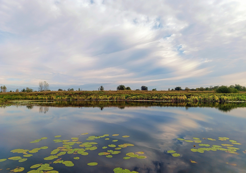 Фотографія Бо ж у природі стільки того дива… / Зоя та Олександр / photographers.ua