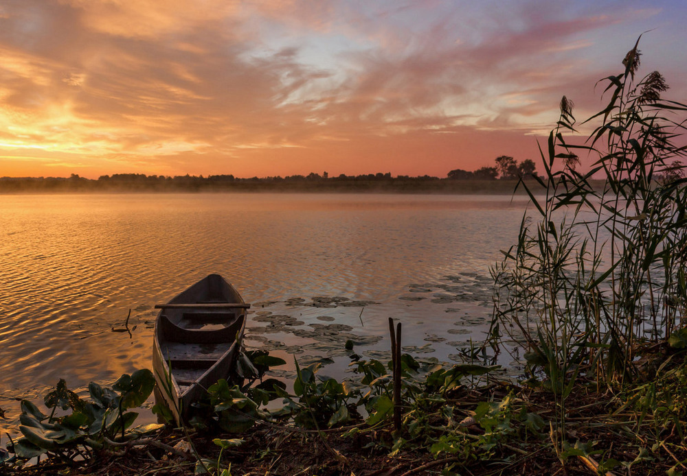 Фотографія Ранок на озері / Зоя та Олександр / photographers.ua