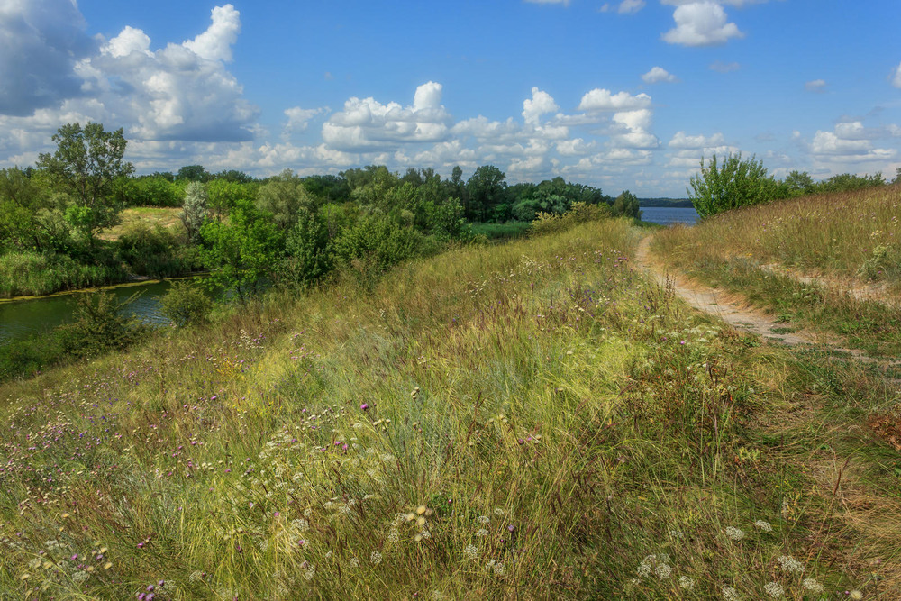 Фотографія Середина літа. Дорога вздовж Карачунівської затоки. / Зоя та Олександр / photographers.ua