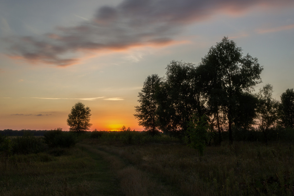 Фотографія Коли Сонце лягає спати / Зоя та Олександр / photographers.ua
