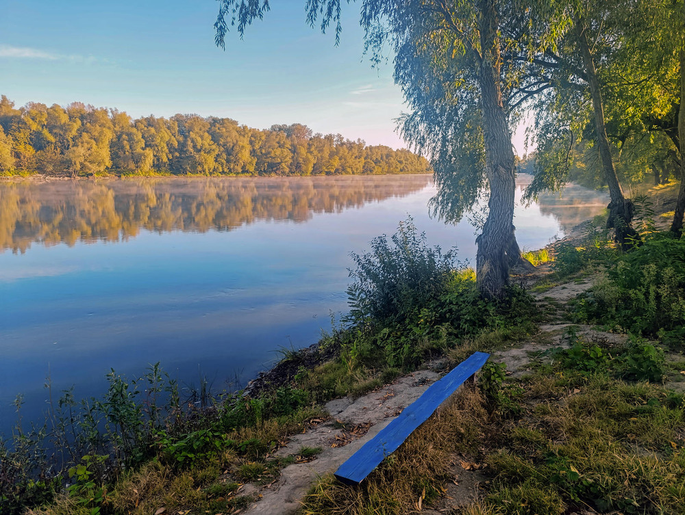 Фотографія Десна ранкова / Зоя та Олександр / photographers.ua