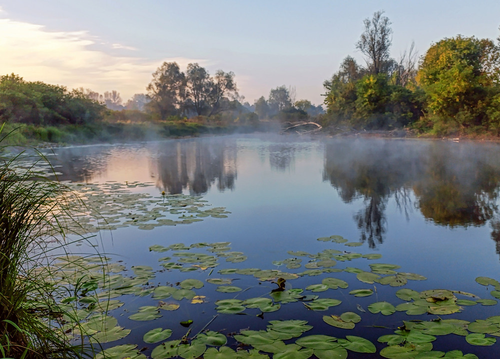 Фотографія Ранок на озері / Зоя та Олександр / photographers.ua