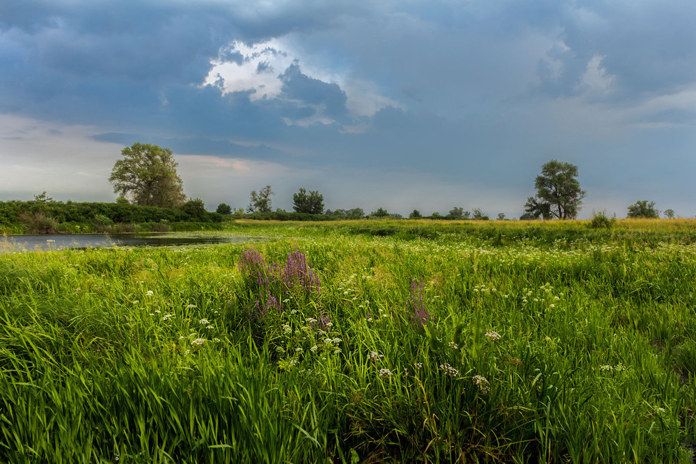 Фотографія А потім почалася злива / Зоя та Олександр / photographers.ua