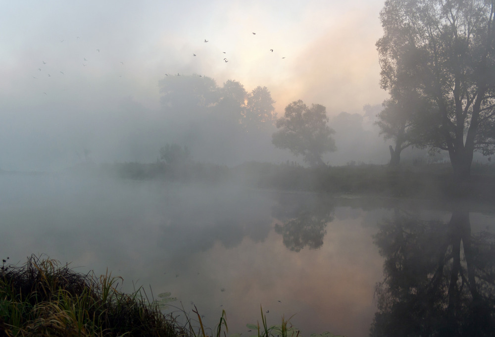 Фотографія Холодний та туманний вересневий світанок на озері Солонецькому. / Зоя та Олександр / photographers.ua