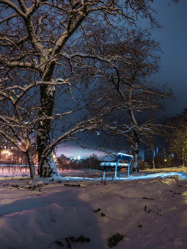 Фотографія Зимний ночной.... / Inga / photographers.ua