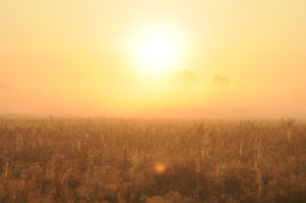 Фотографія рассвет / SSnake / photographers.ua