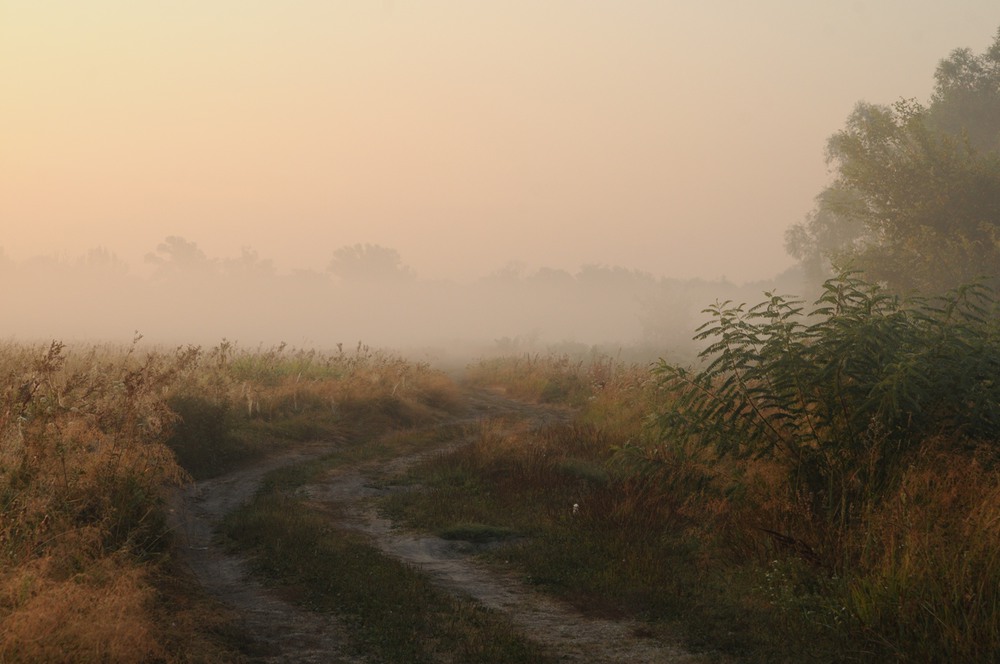 Фотографія утро / SSnake / photographers.ua