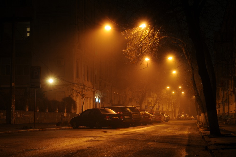 Фотографія *** / SSnake / photographers.ua