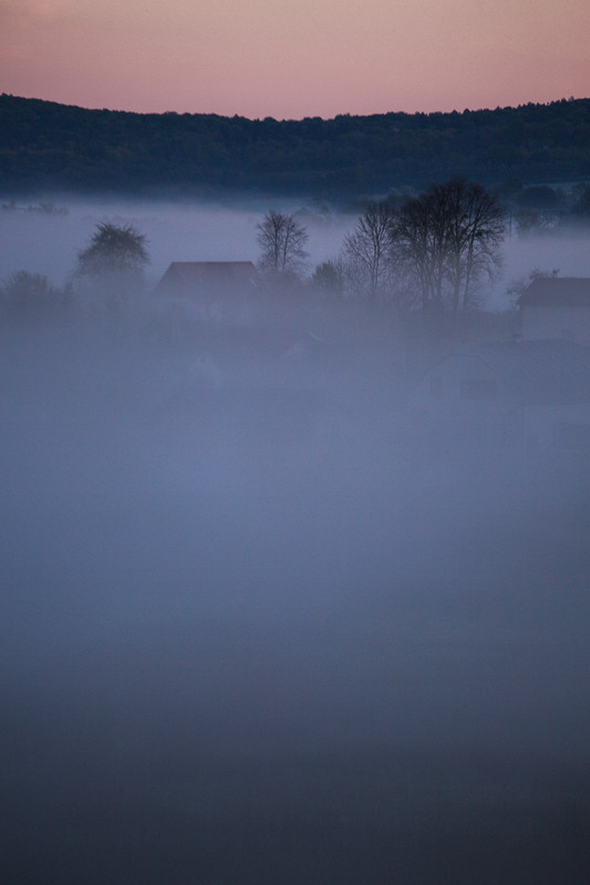 Фотографія Туманний ранок біля с.Свірж / Олесь Москальчук / photographers.ua