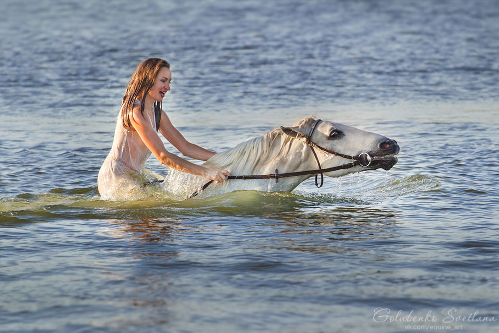 Фотографія Купание белого коня / Светлана Голубенко / photographers.ua