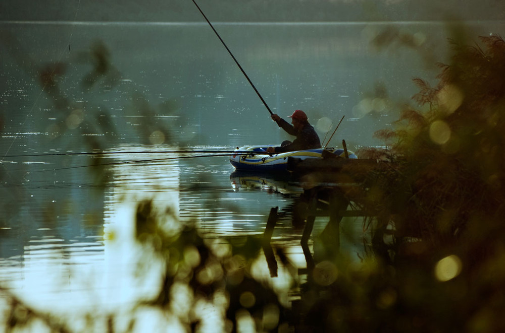 Фотографія Morning on lake 2 / Сергей Савчук / photographers.ua