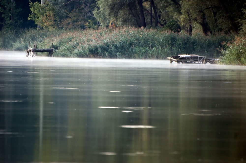 Фотографія Morning on lake / Сергей Савчук / photographers.ua