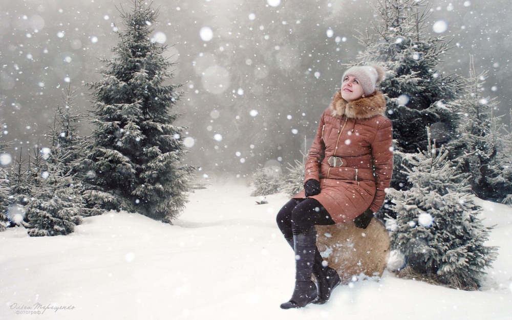 Фотографія Зимний лес / TeresOlya / photographers.ua