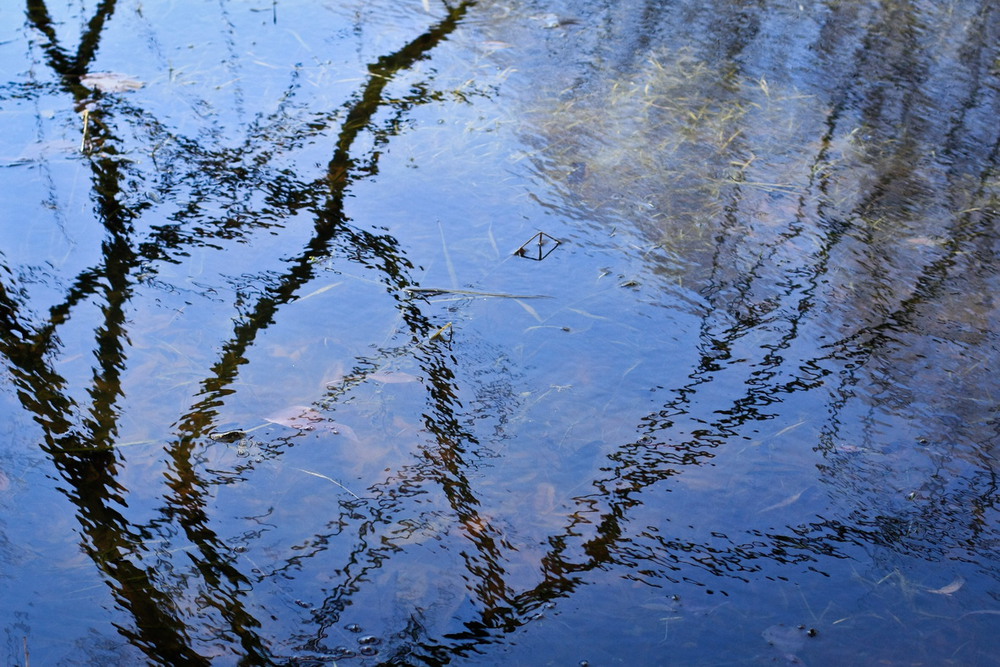 Фотографія Пейзаж / Дашка Парпиева / photographers.ua