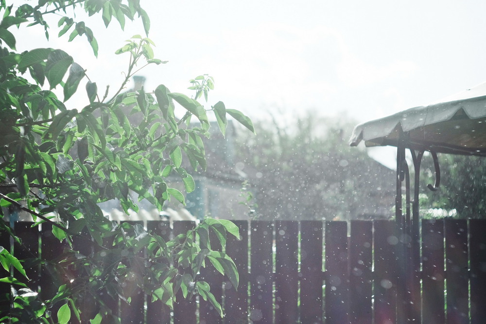 Фотографія солнечный дождик / Дашка Парпиева / photographers.ua