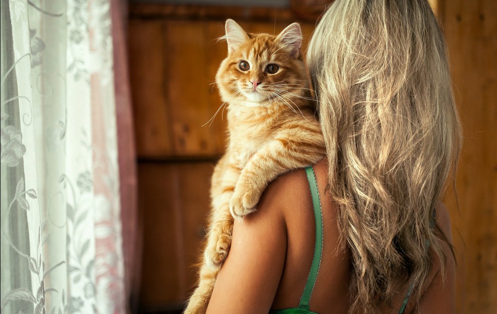 Фотографія Red Cat / Андрей Чекановский / photographers.ua